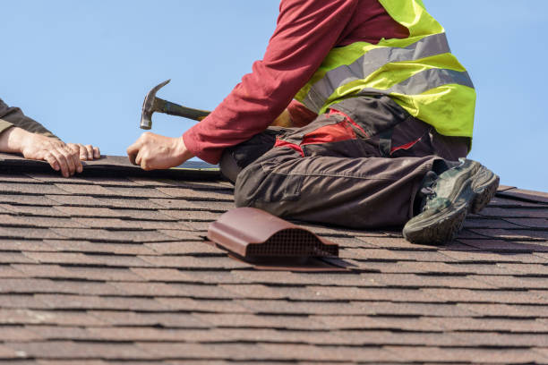 Roof Gutter Cleaning in River Road, WA