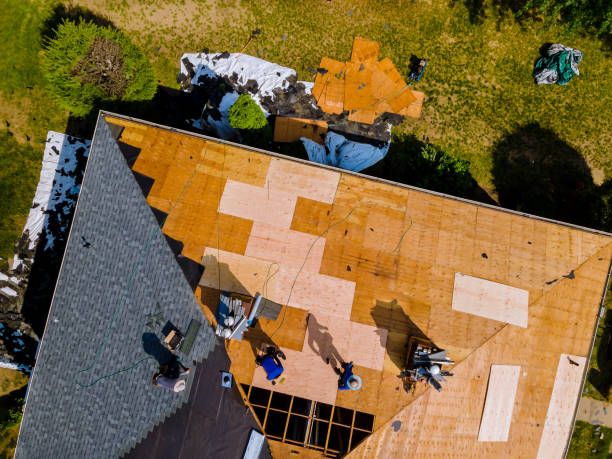 Best Roof Leak Repair  in River Road, WA