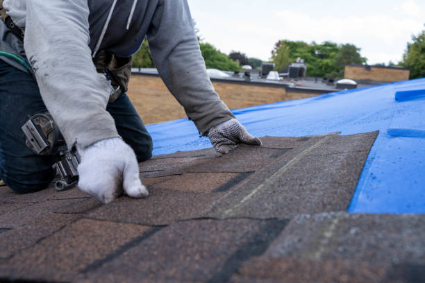 Roof Installation Near Me in River Road, WA