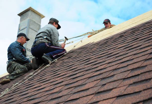 Best Roof Gutter Cleaning  in River Road, WA
